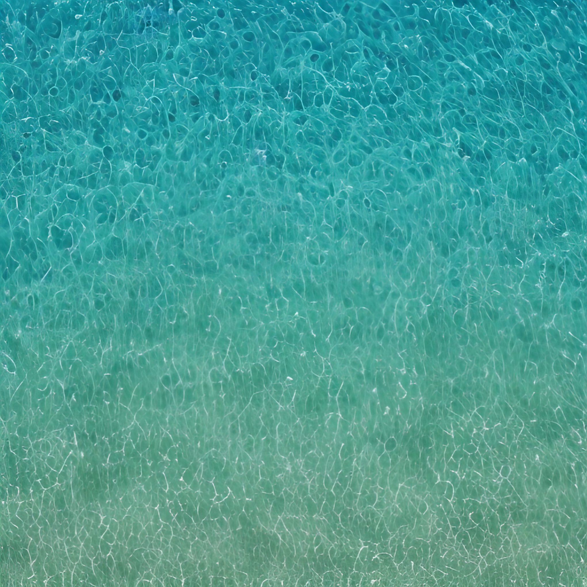 Glistening Shallow Sea Tropical Beach Free image download