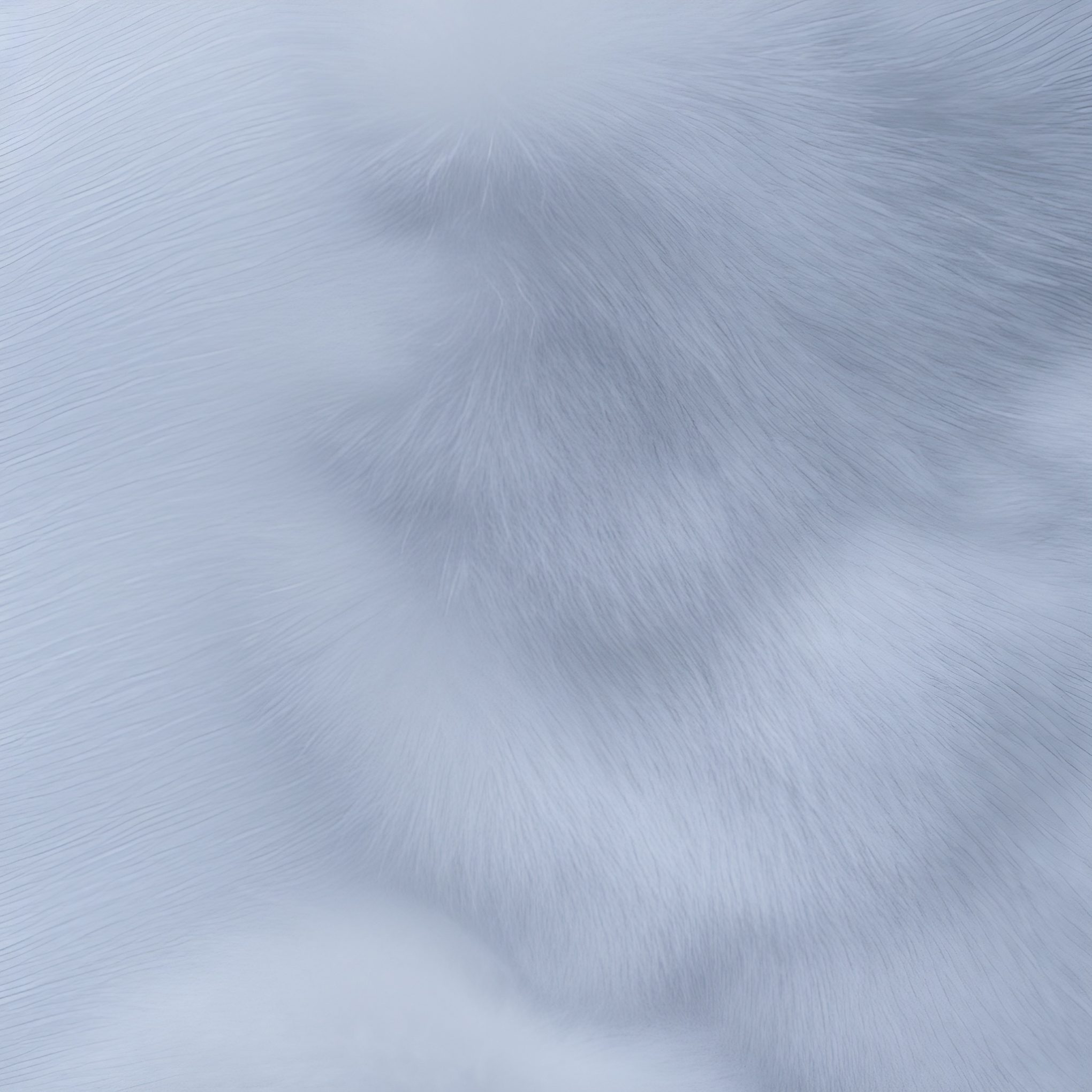 White Animal Fur Pelt Texture Free Picture Download