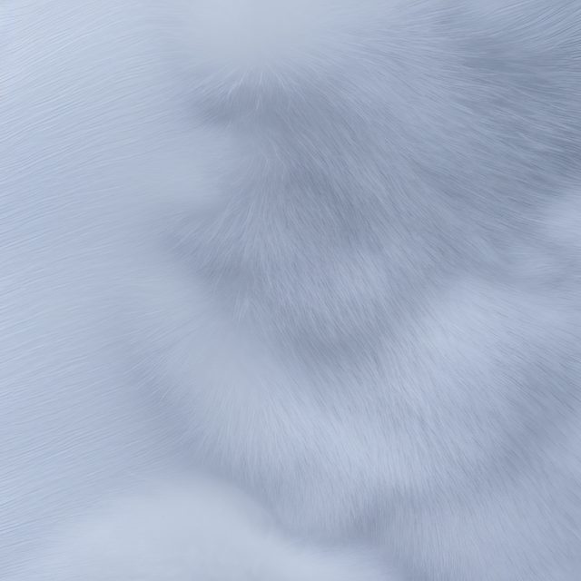 White Animal Fur Pelt Texture Free Picture Download
